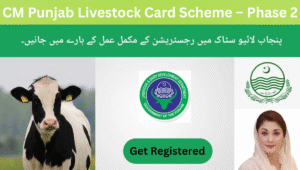 Read more about the article CM Punjab Livestock Card Scheme – Phase 2