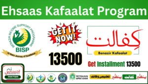Read more about the article Ehsaas Kafaalat Program 2025: Latest Payment Increase, Eligibility & Survey Updates