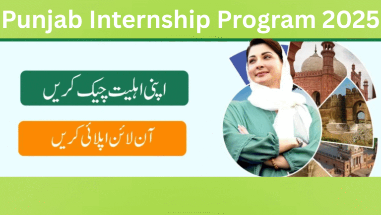 Punjab Internship Program 2025