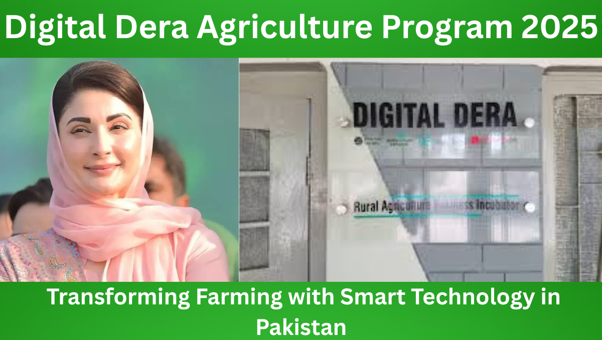 You are currently viewing Digital Dera Agriculture Program 2025 – Transforming Farming with Smart Technology in Pakistan