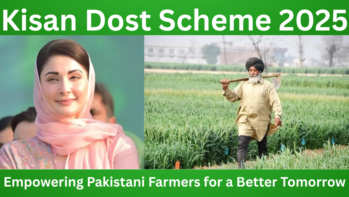 Read more about the article Kisan Dost Scheme 2025: Empowering Pakistani Farmers for a Better Tomorrow